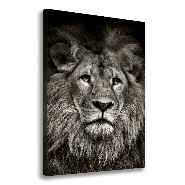 Large canvas wall art Lion