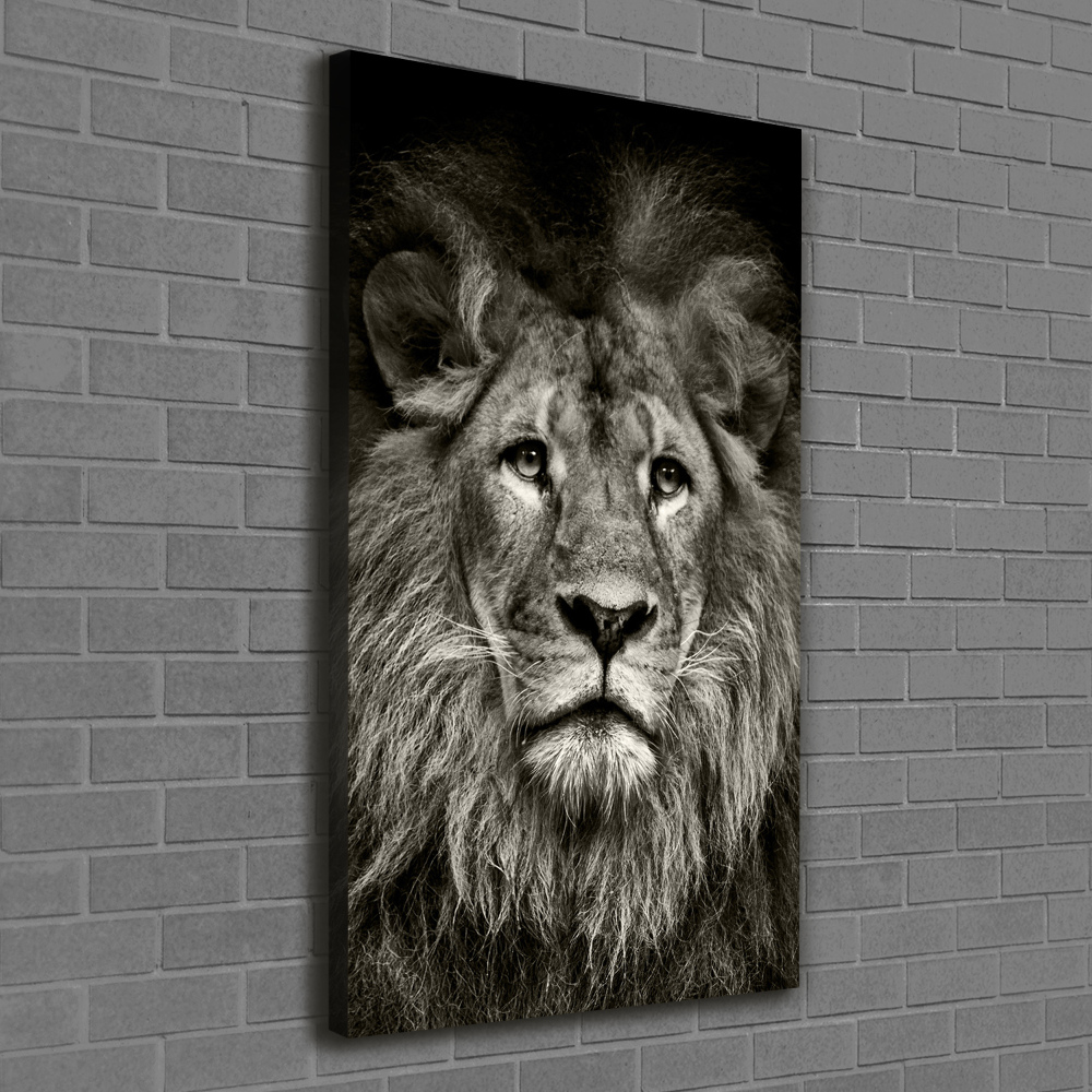 Large canvas wall art Lion