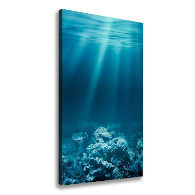 Large canvas wall art Underwater world