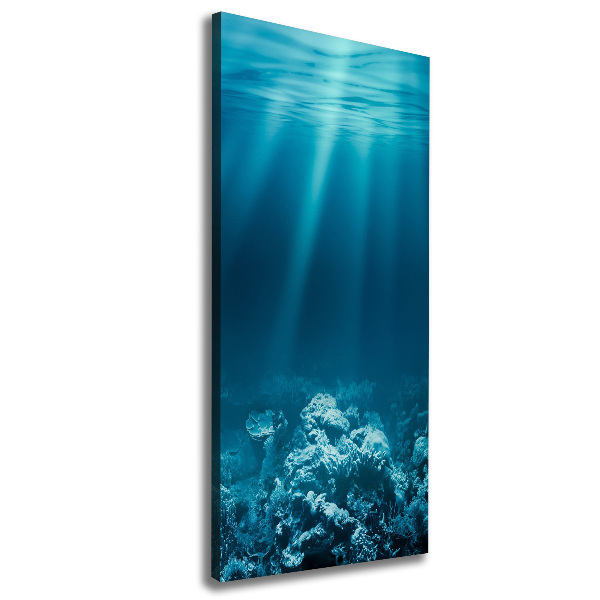 Large canvas wall art Underwater world