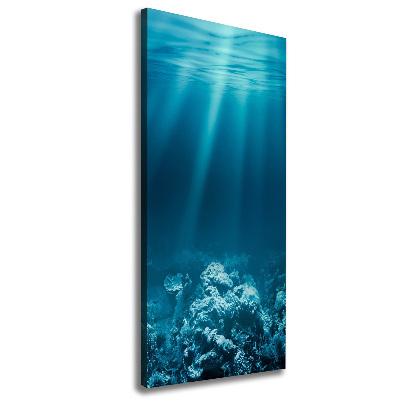 Large canvas wall art Underwater world