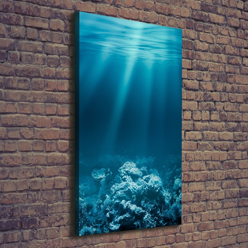 Large canvas wall art Underwater world