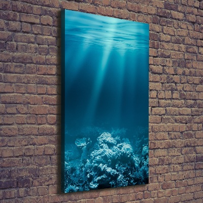 Large canvas wall art Underwater world