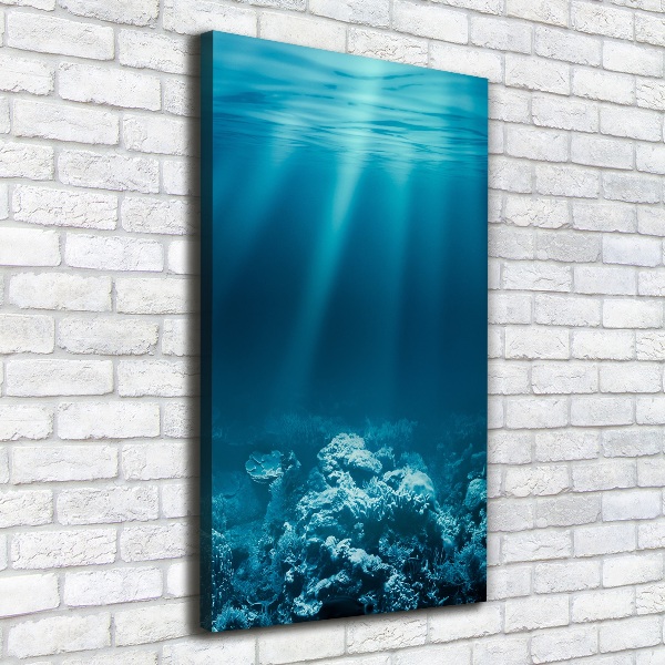 Large canvas wall art Underwater world