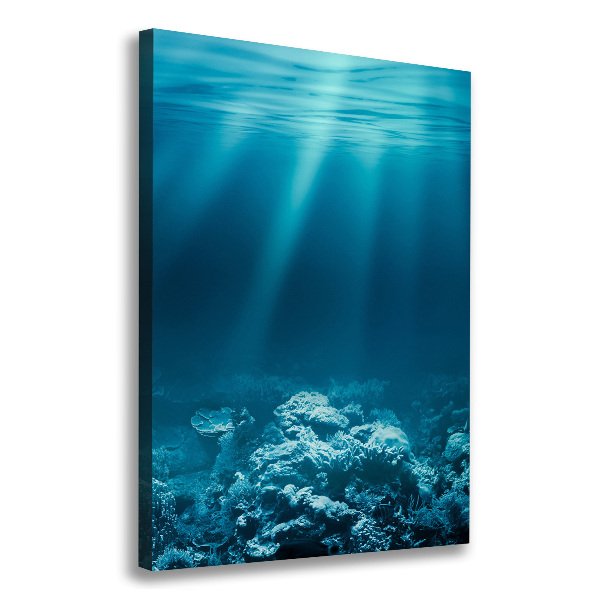 Large canvas wall art Underwater world