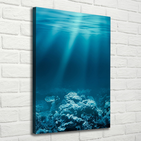 Large canvas wall art Underwater world