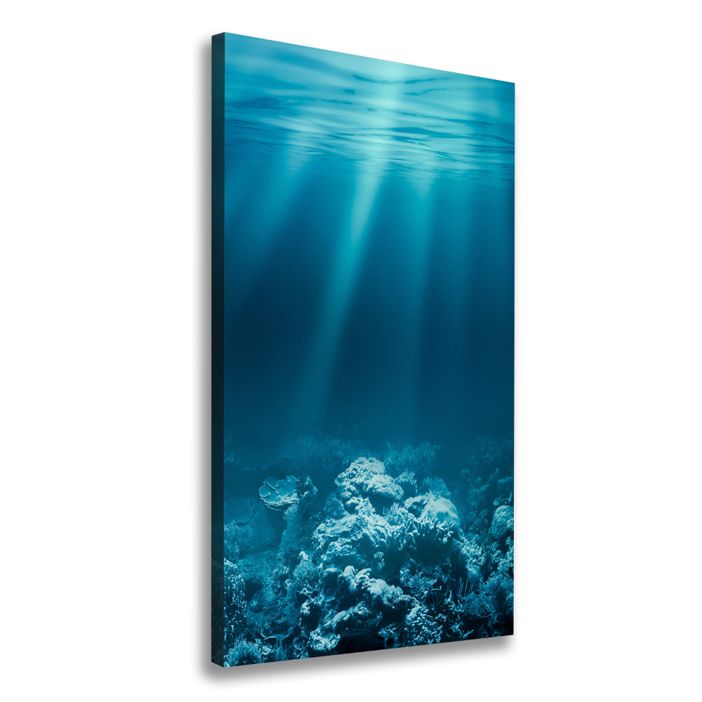 Large canvas wall art Underwater world