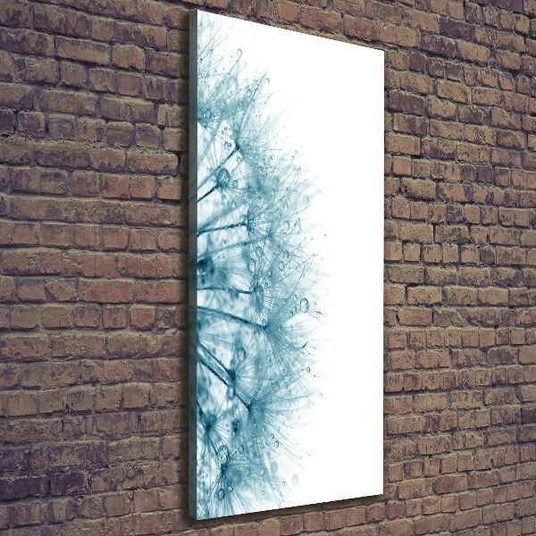 Canvas wall art Dandelion seeds