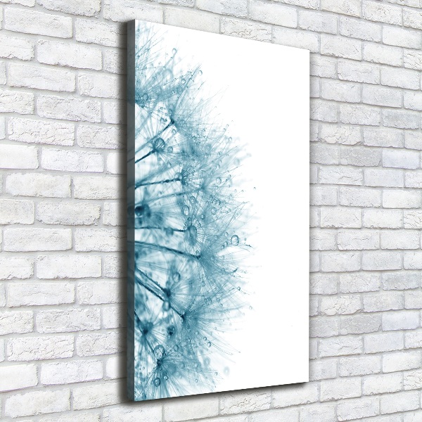 Canvas wall art Dandelion seeds