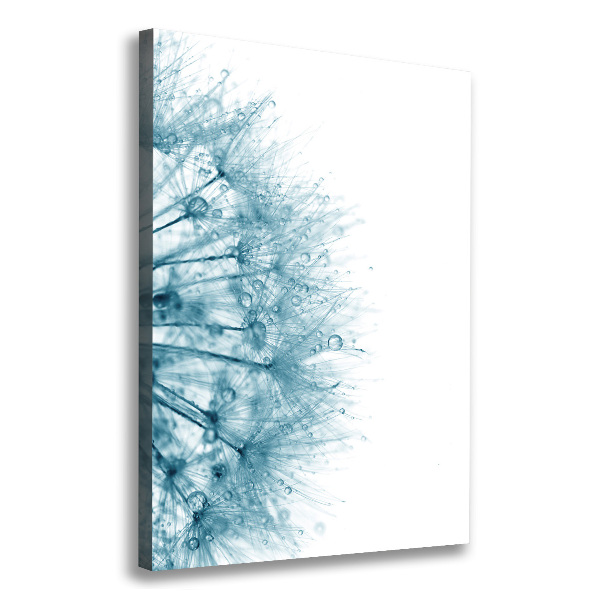 Canvas wall art Dandelion seeds