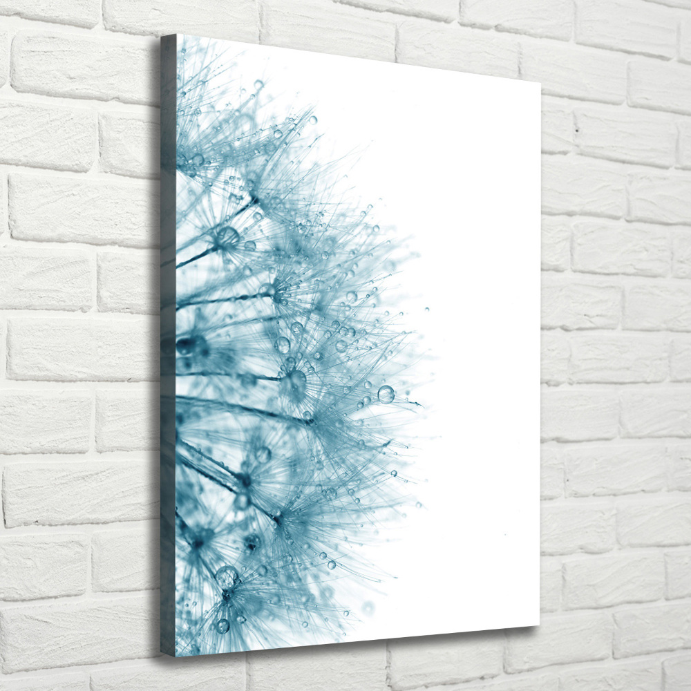 Canvas wall art Dandelion seeds