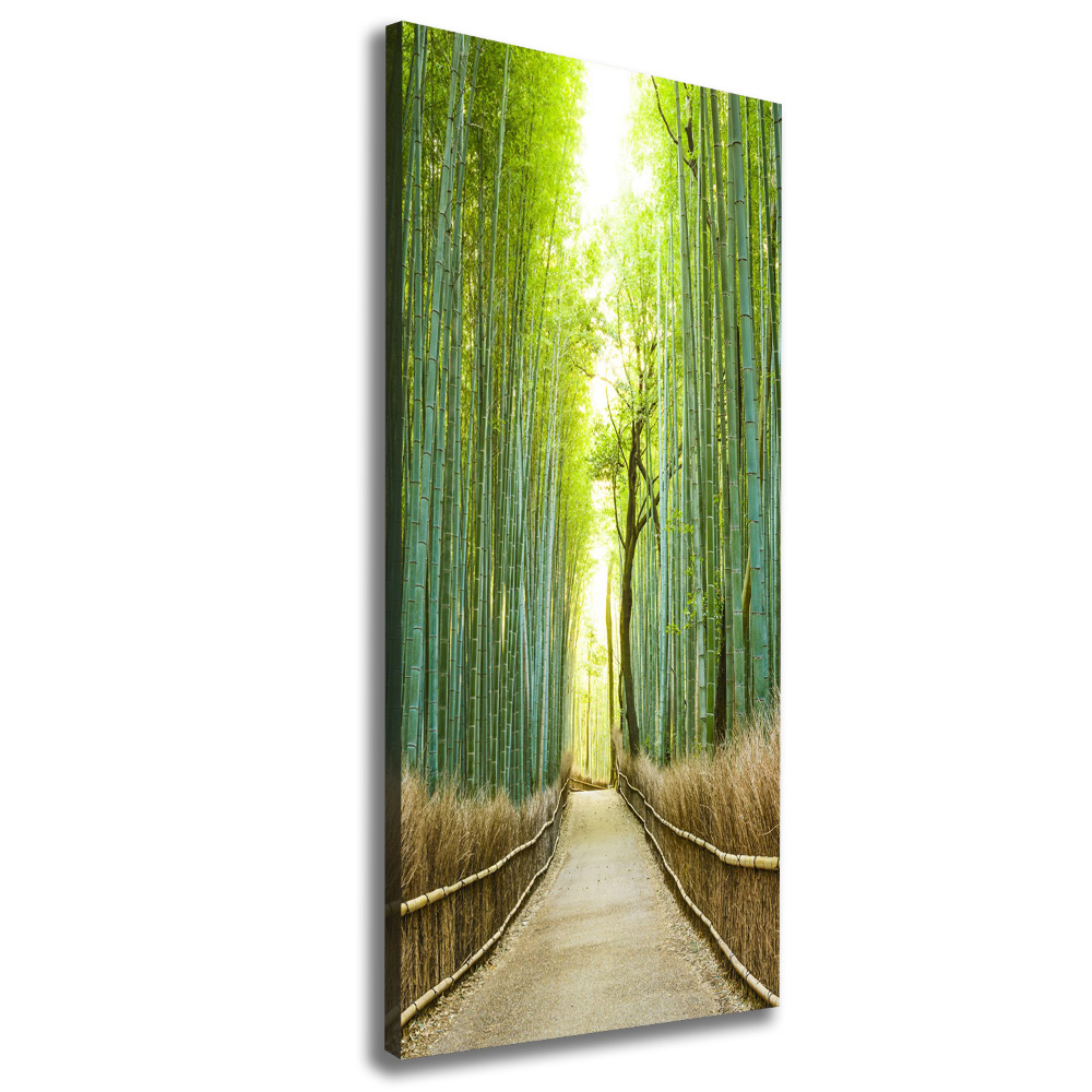 Large canvas wall art Bamboo forest