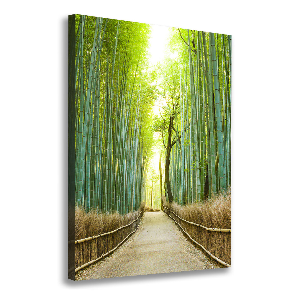 Large canvas wall art Bamboo forest