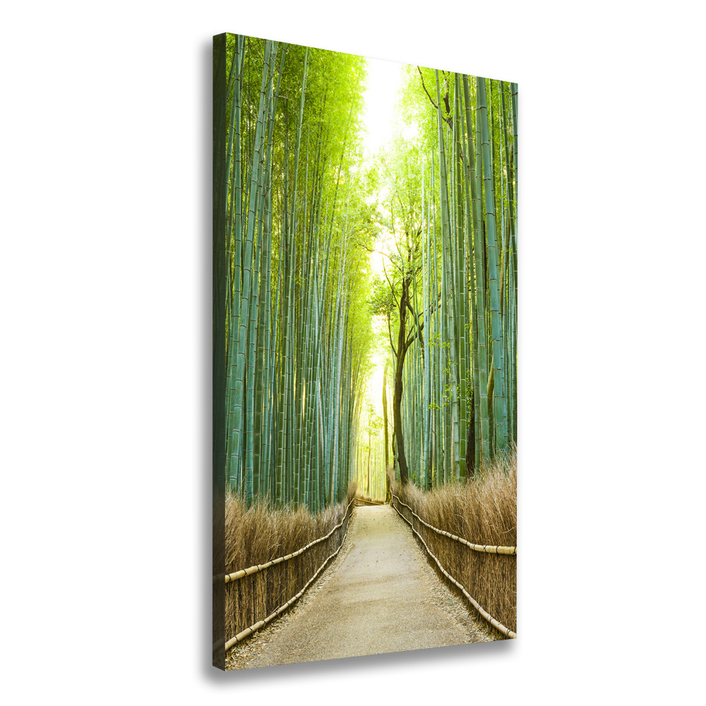 Large canvas wall art Bamboo forest