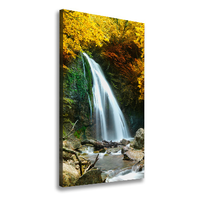 Canvas print Waterfall in the forest