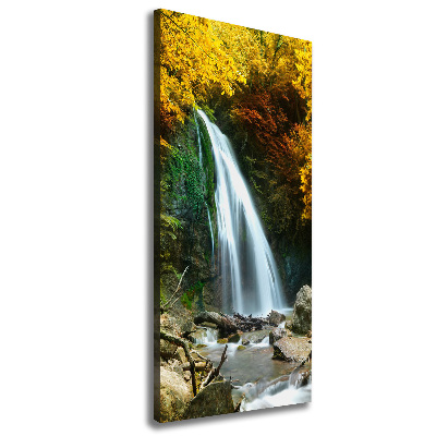 Canvas print Waterfall in the forest