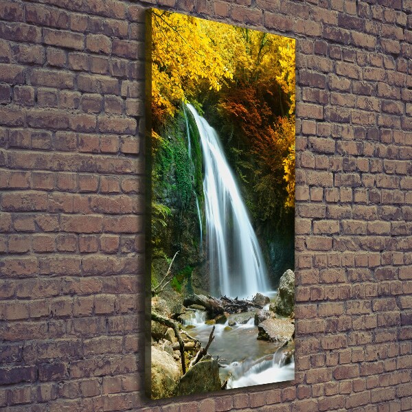 Canvas print Waterfall in the forest