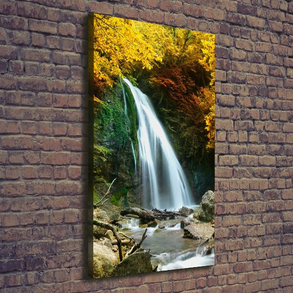 Canvas print Waterfall in the forest