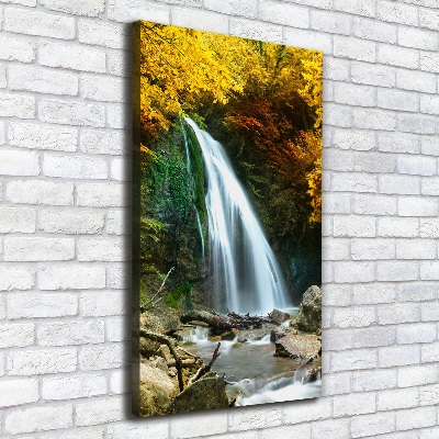 Canvas print Waterfall in the forest