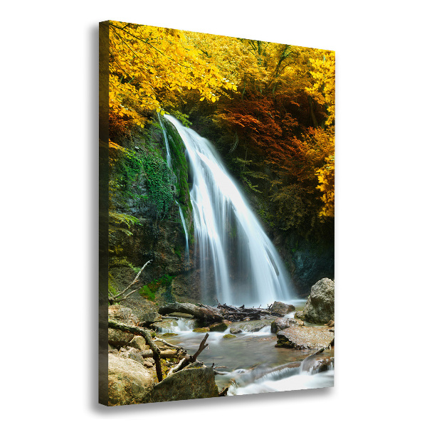 Canvas print Waterfall in the forest