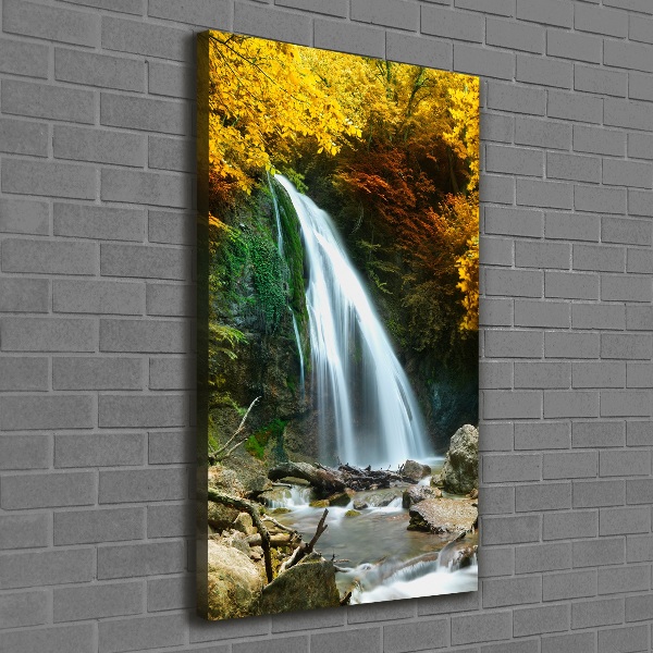 Canvas print Waterfall in the forest