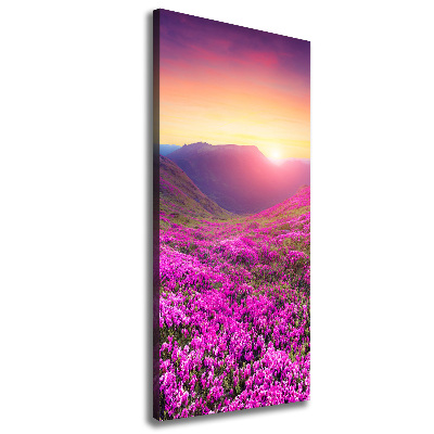 Canvas wall art Rhododendron mountains