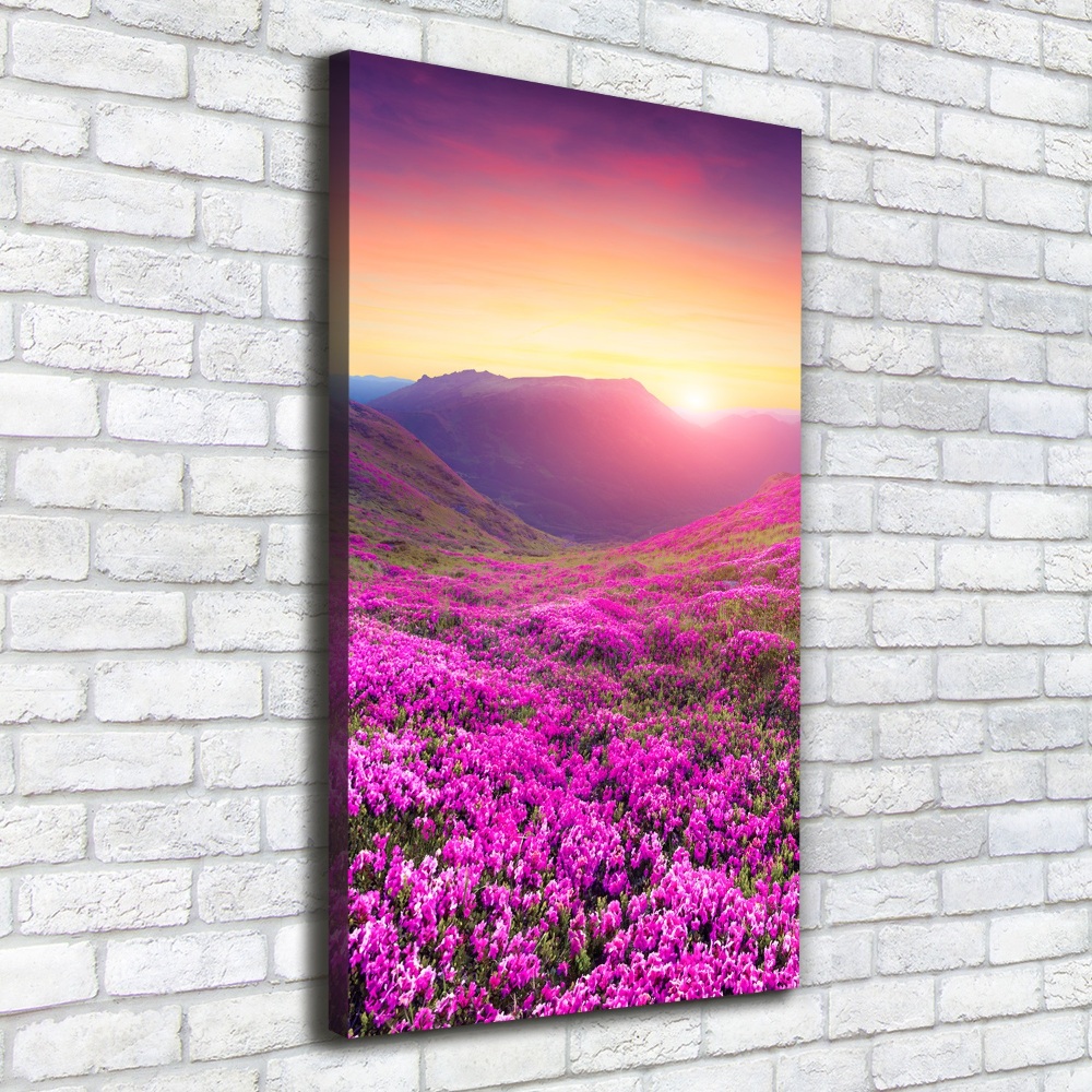 Canvas wall art Rhododendron mountains