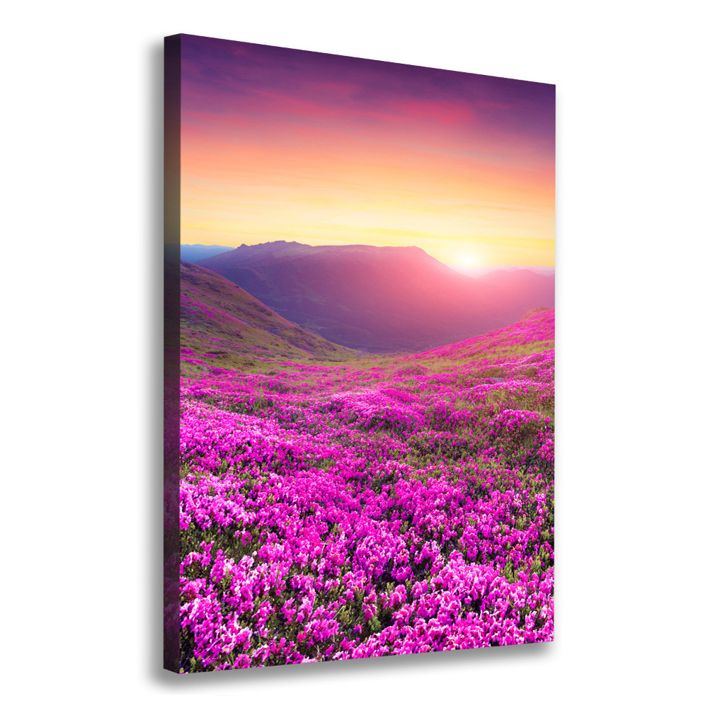 Canvas wall art Rhododendron mountains