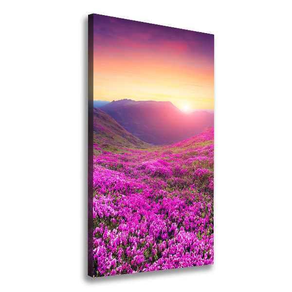 Canvas wall art Rhododendron mountains