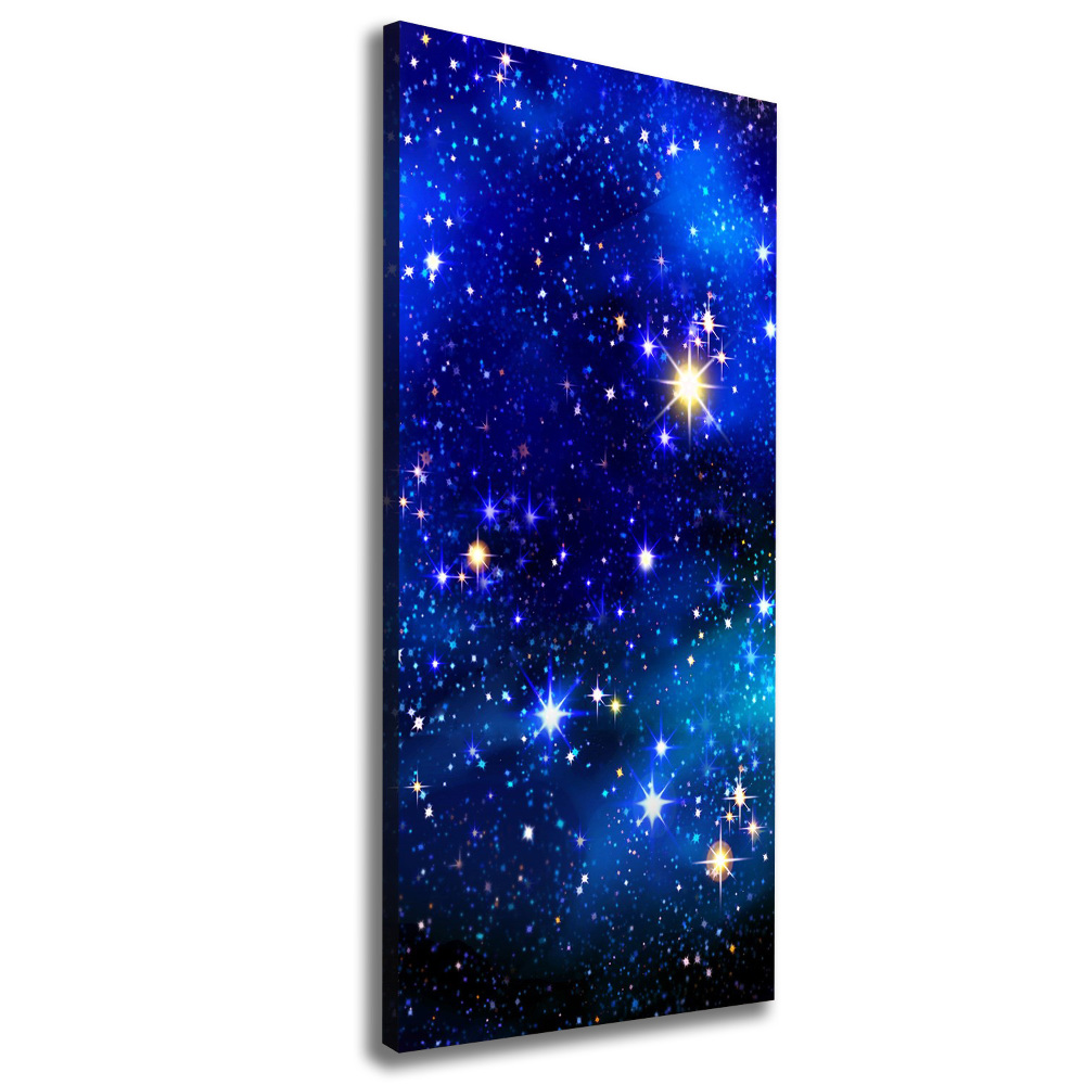 Canvas wall art Starry sky