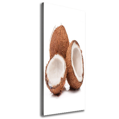 Canvas wall art Coconut