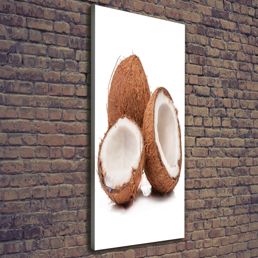 Canvas wall art Coconut