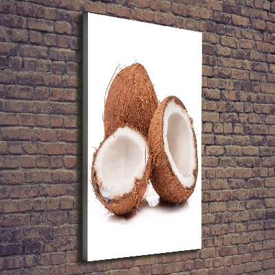 Canvas wall art Coconut