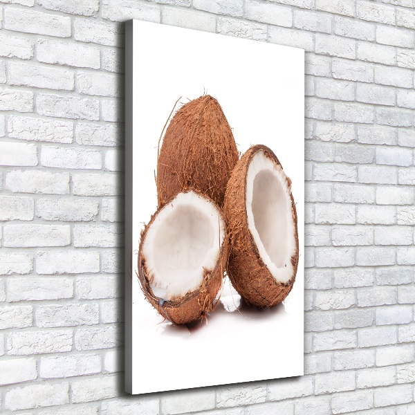 Canvas wall art Coconut