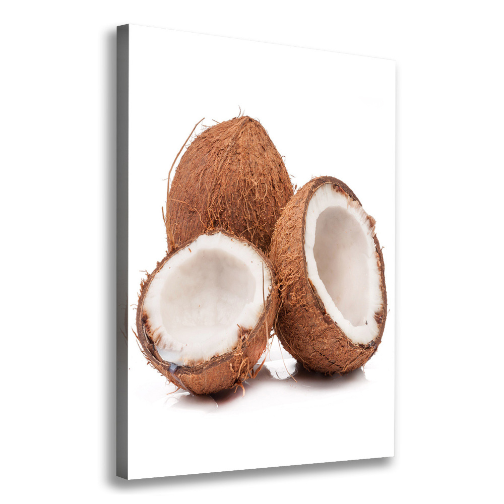 Canvas wall art Coconut