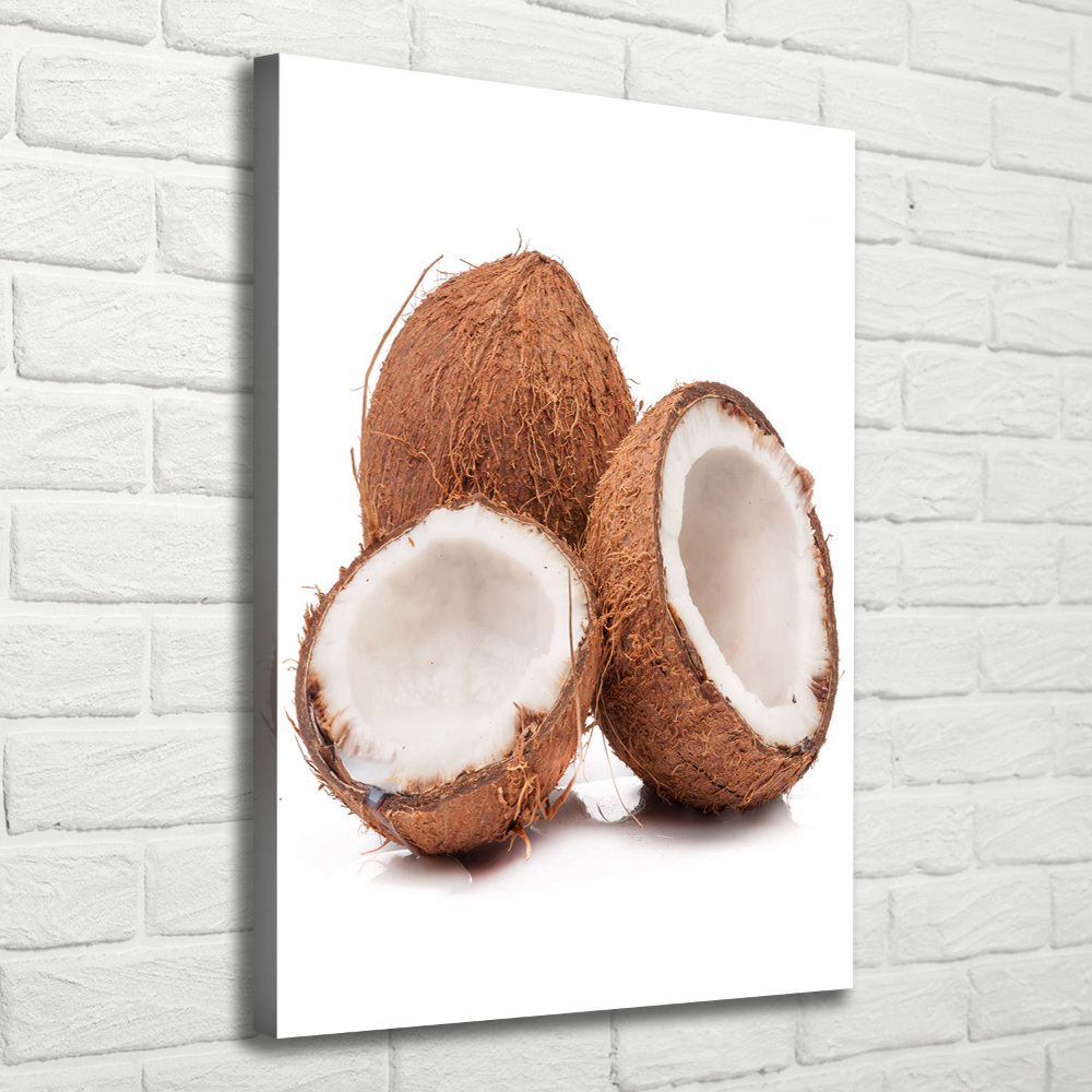 Canvas wall art Coconut