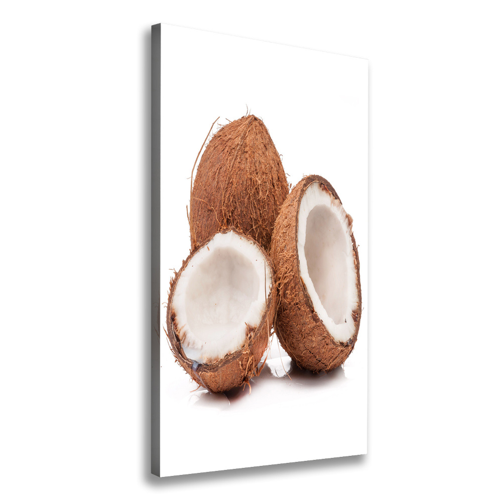 Canvas wall art Coconut