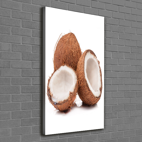 Canvas wall art Coconut