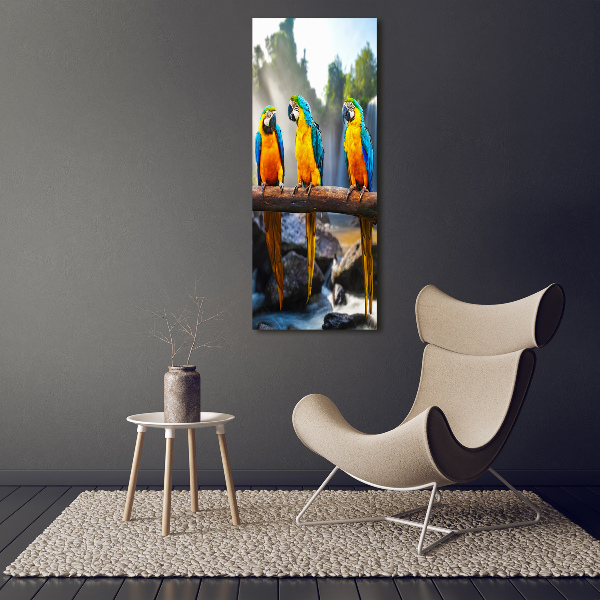 Canvas wall art Ary parrots