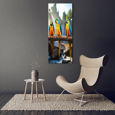 Canvas wall art Ary parrots