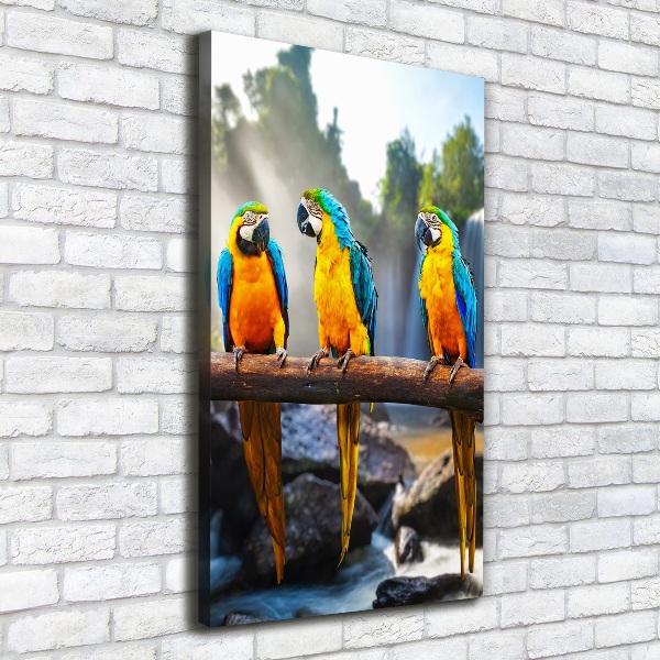 Canvas wall art Ary parrots