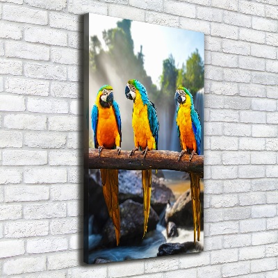 Canvas wall art Ary parrots