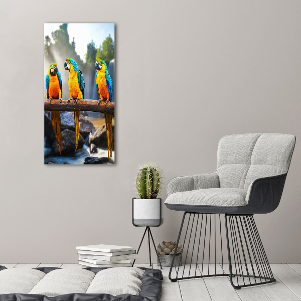 Canvas wall art Ary parrots