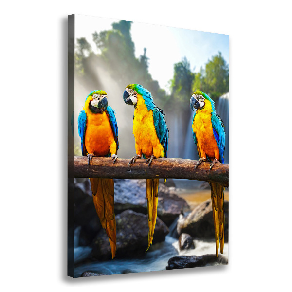 Canvas wall art Ary parrots