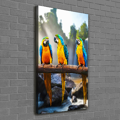 Canvas wall art Ary parrots