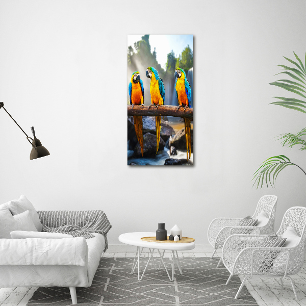 Canvas wall art Ary parrots