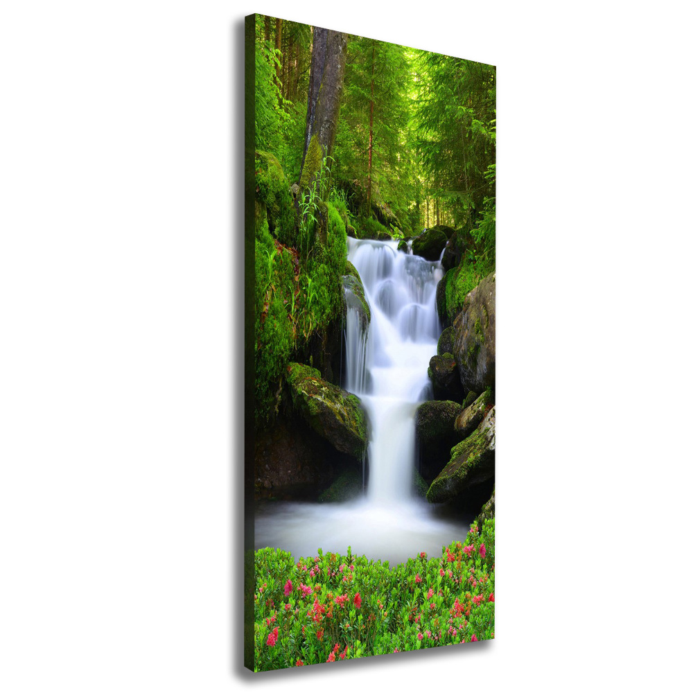 Canvas print Waterfall in the forest