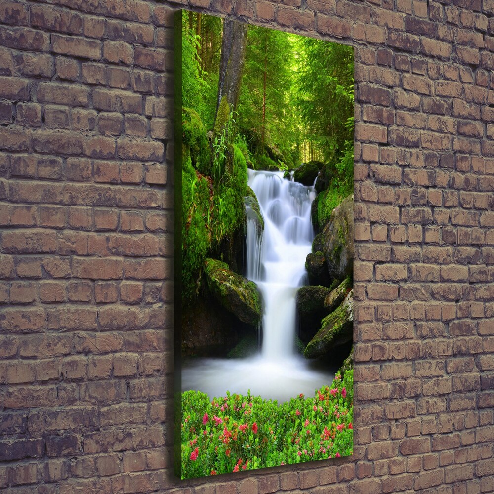 Canvas print Waterfall in the forest