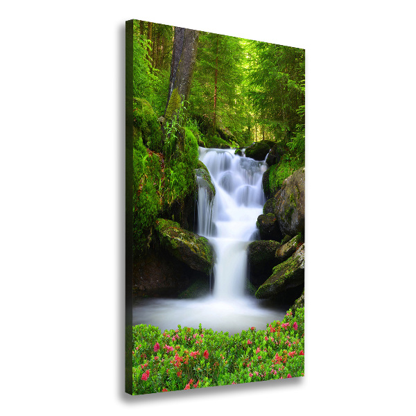 Canvas print Waterfall in the forest