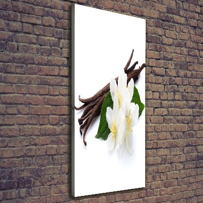 Canvas wall art Jasmine and vanilla